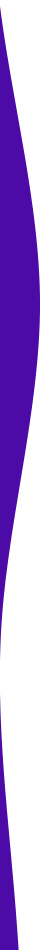 https://taperiaxuress.com/wp-content/uploads/2021/03/purple-detail-left.png