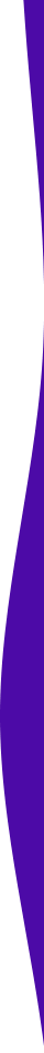 https://taperiaxuress.com/wp-content/uploads/2021/04/purple-detail-right.png